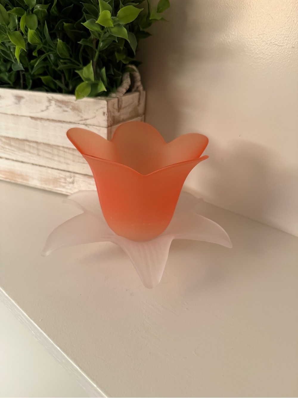 Frosted Peach Tulip Shaped Votive Pillar Candle Holder Base White Leaves